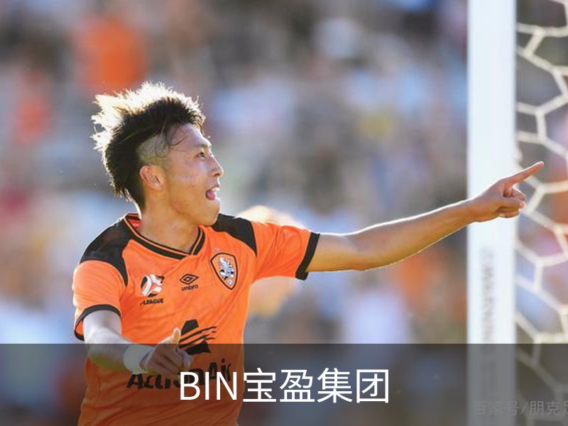 关于BIN宝盈集团