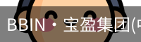 BIN宝盈集团